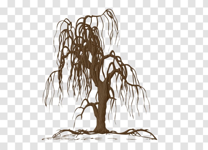 Wall Decal Sticker Weeping Willow - Art - Sketch Transparent PNG