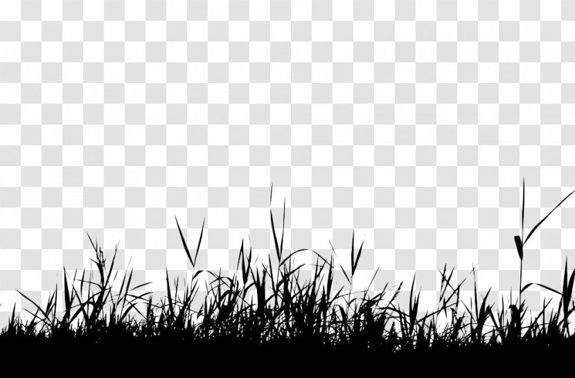 Silhouette Royalty-free Photography Clip Art - Royaltyfree - Disorderly Grass Transparent PNG