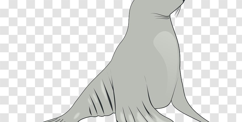 Sea Lion Finger Line Art Character - Frame Transparent PNG
