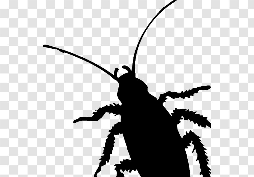 Cockroach Insect Pest Silhouette Clip Art Transparent PNG