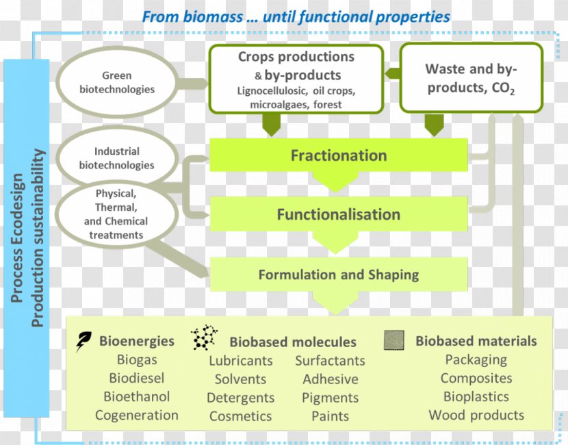 Biomass Biorefinery Biotechnology Bioenergy Bioproducts - Document - Toxalim Inra Laboratory Transparent PNG