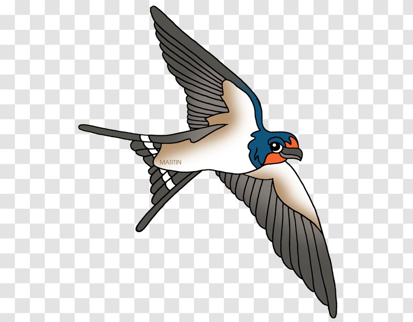 Barn Swallow Bird Clip Art - Royaltyfree - Cliparts Transparent PNG