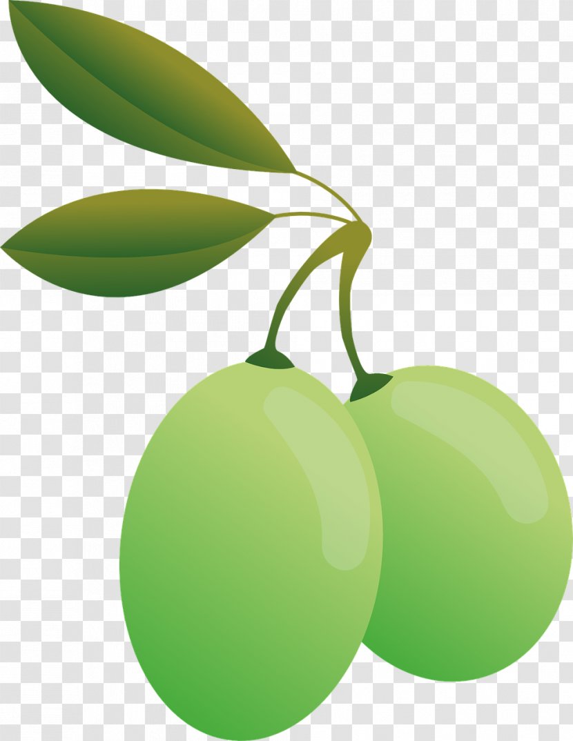 Olive Oil - Citrus Transparent PNG
