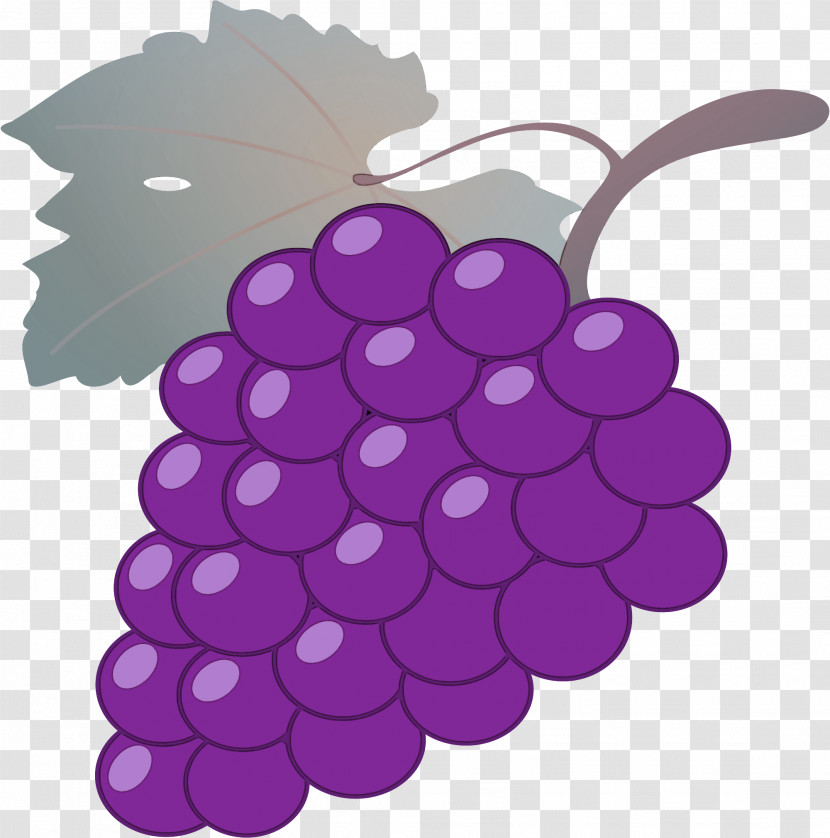 Grape Grapevines Plant Fruit Transparent PNG