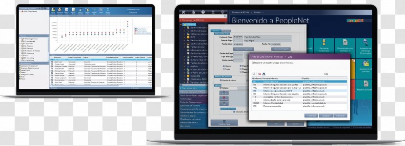 Software De Nómina Payroll Organization Operating Systems Computer - Remuneration Transparent PNG