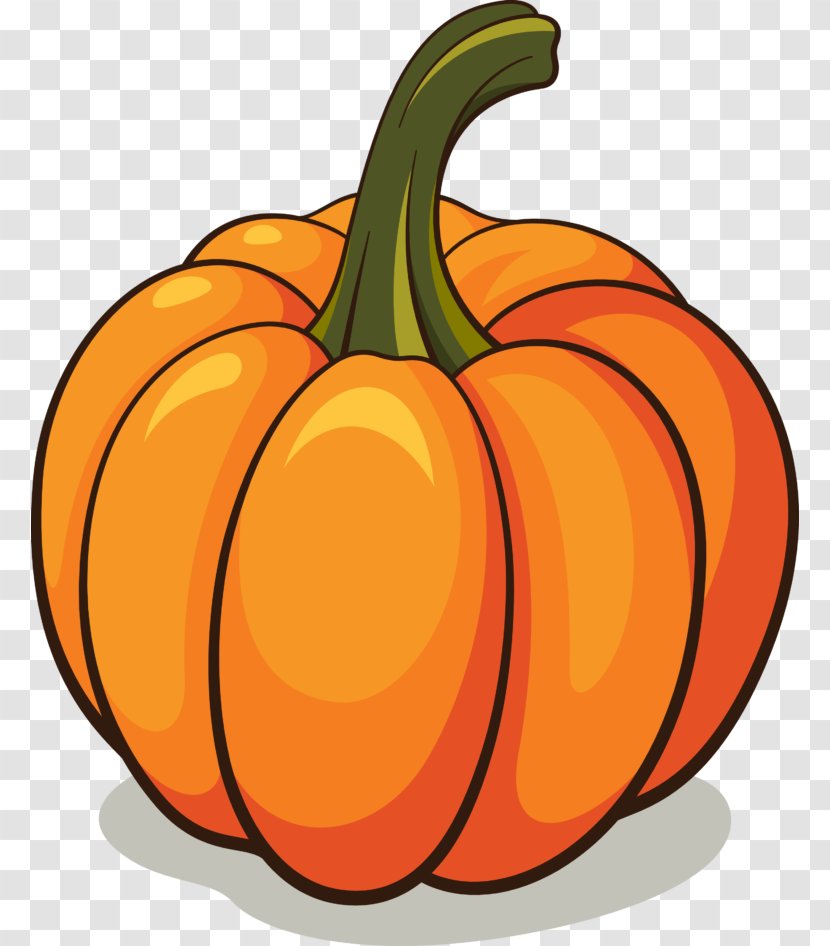 Pumpkin Cucurbita Pepo Clip Art - Food Transparent PNG