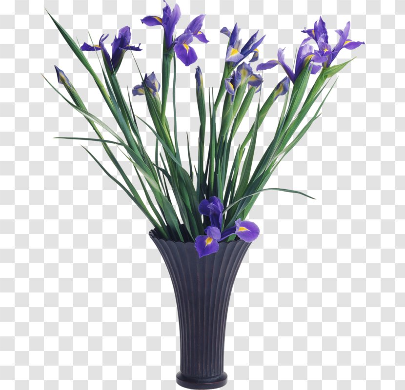 Flower Clip Art - Crocus - Purple Iris Transparent PNG