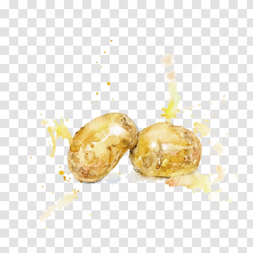 Watercolor Painting Potato Illustration - Root Vegetable - Ink Effect Potatoes Transparent PNG