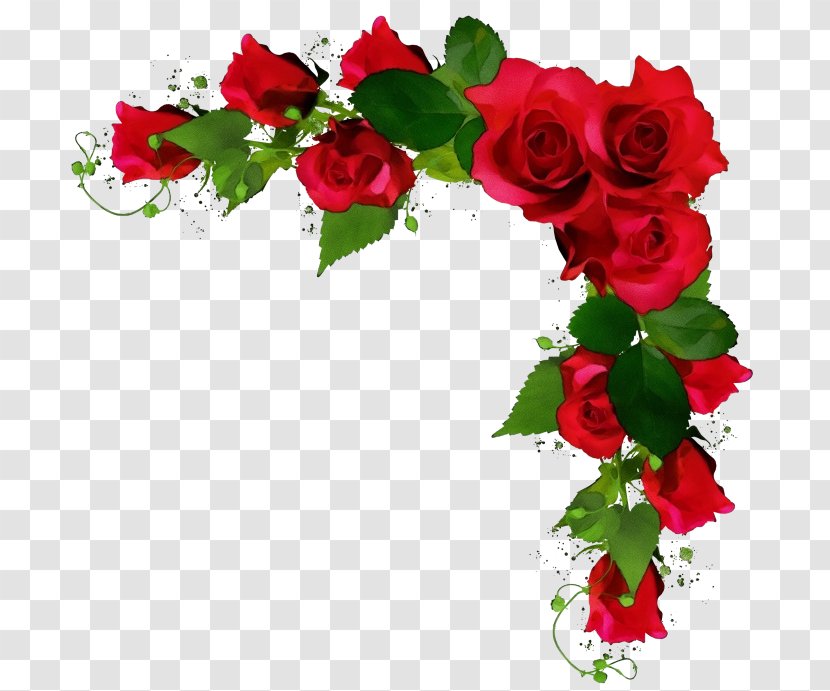 Garden Roses - Red - Holly Artificial Flower Transparent PNG