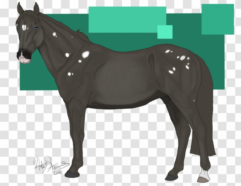 Mane Mustang Stallion Mare Colt Transparent PNG