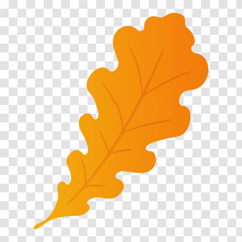 Maple Leaf Transparent PNG