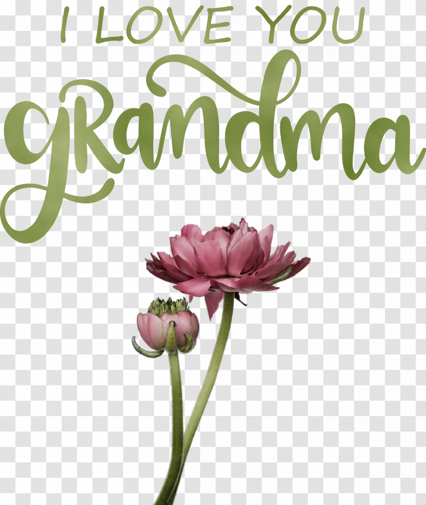 Floral Design Transparent PNG