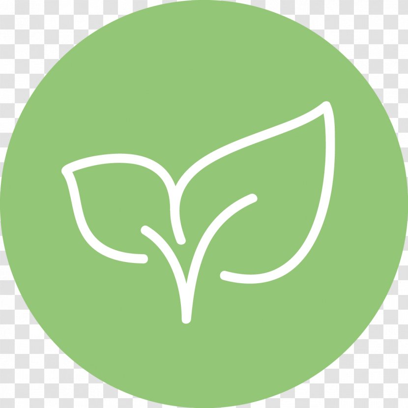 Kombucha Tea Clip Art Social Video Marketing SCOBY - Leaf Transparent PNG