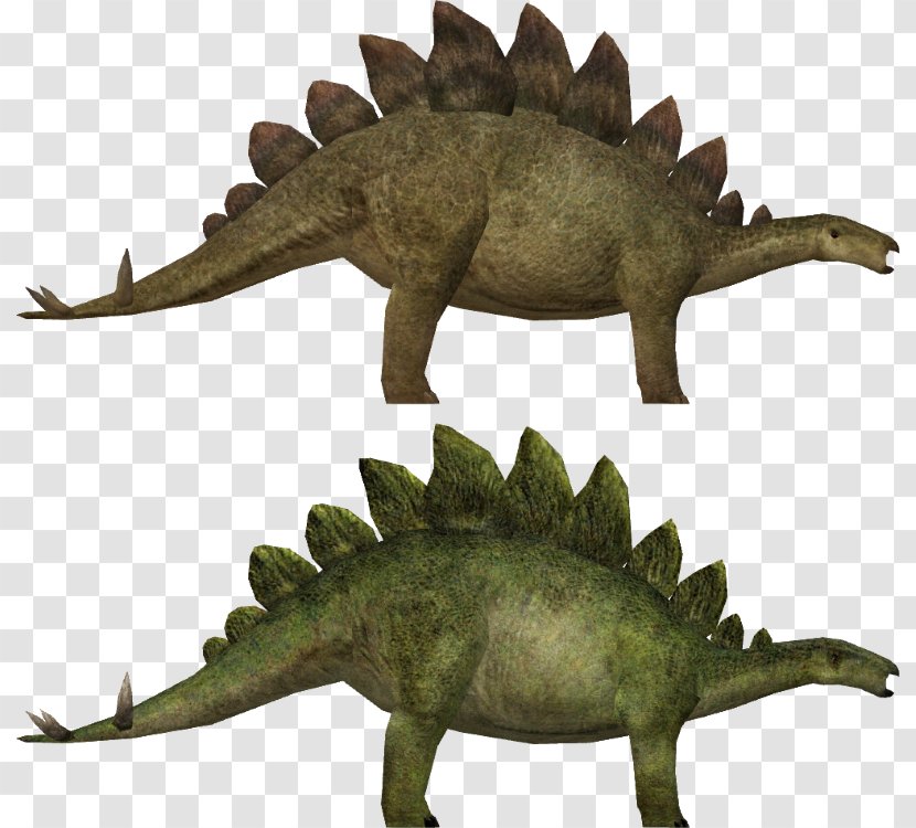 Dinosaur Jurassic Park: Operation Genesis The Lost World Stegosaurus Evolution - Park Transparent PNG