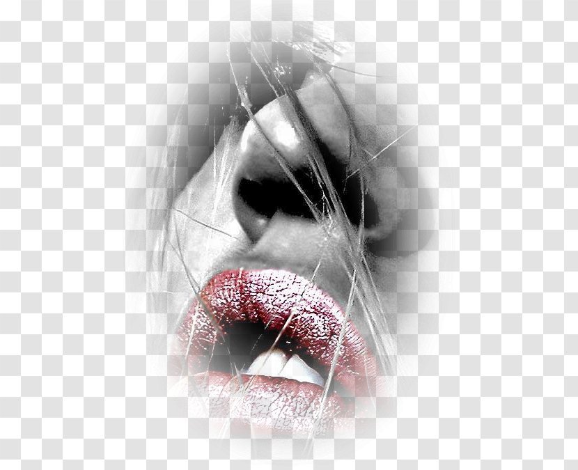 Lip Red Desktop Wallpaper Mouth Image - Frame - Kiss Lips Transparent PNG
