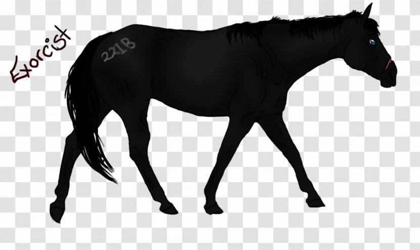 Mustang Stallion Mare Rein Horse Harnesses Transparent PNG
