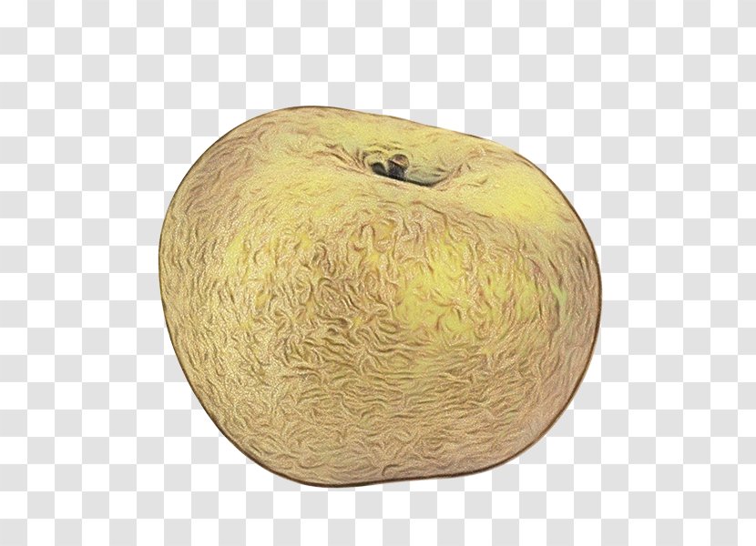 Apple - Plant - Fruit Transparent PNG