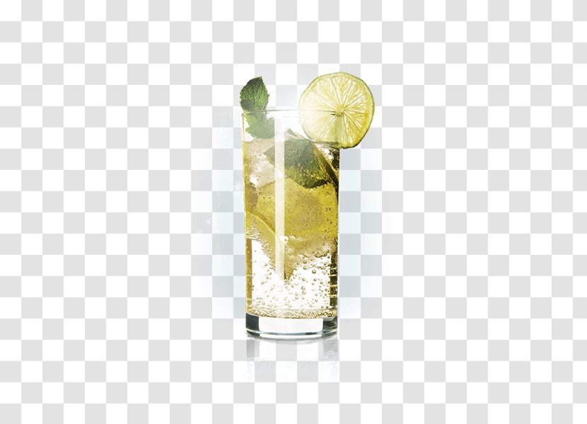 Rickey Kulfi Gin And Tonic Fizzy Drinks Sea Breeze - Mint Tea Transparent PNG