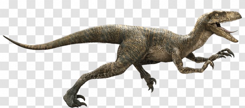 Velociraptor Owen Jurassic Park YouTube Indominus Rex - Animal Figure Transparent PNG