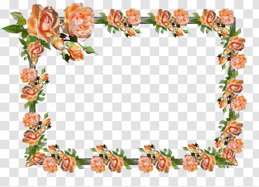 Floral Design Picture Frames Clip Art Borders And Image - Flower Transparent PNG