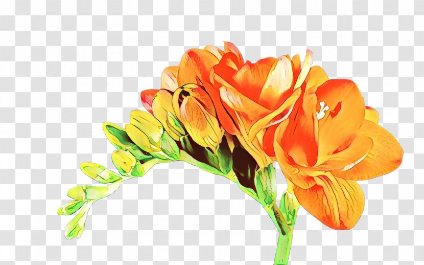 Lily Flower Cartoon - Plants - Rose Order Freesia Transparent PNG
