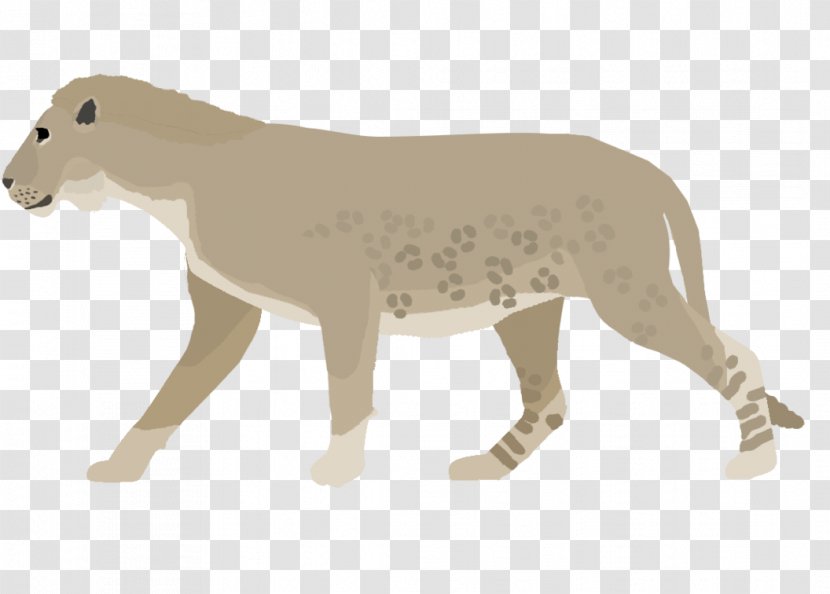 Panthera Spelaea Tiger Cat Lion Art - Carnivoran Transparent PNG