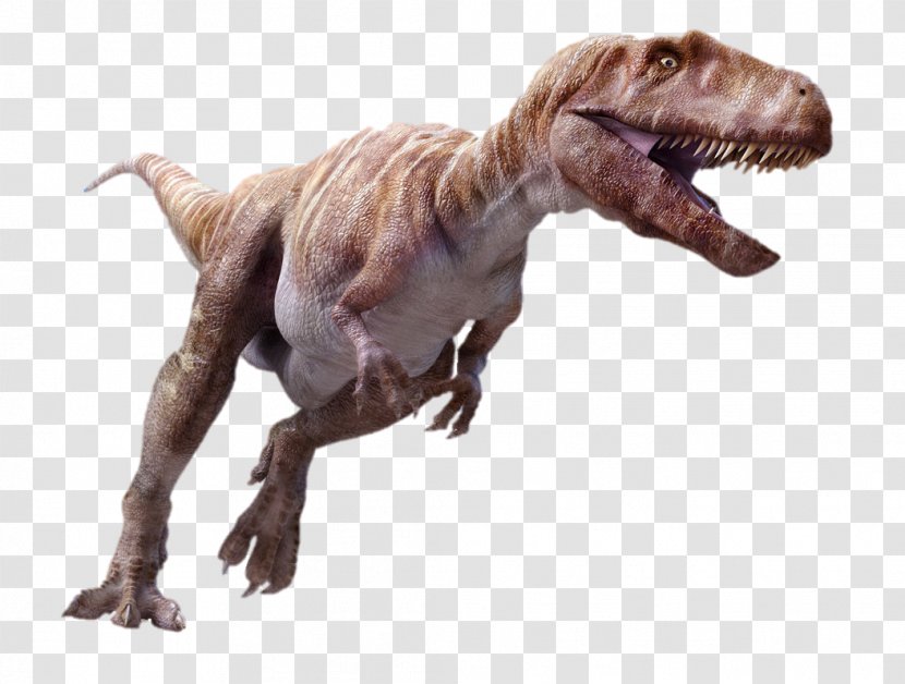 Megalosaurus Spinosaurus Ceratosaurus Tyrannosaurus Iguanodon - Dinosaur Transparent PNG