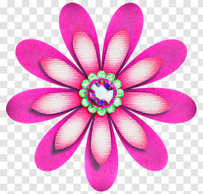 Petal Pink Violet Magenta Flower Transparent PNG