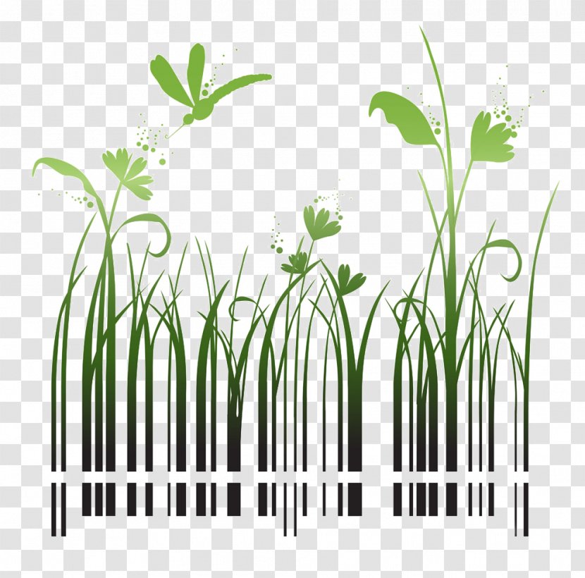 Barcode Shutterstock Stock Photography QR Code - Grass Family Transparent PNG