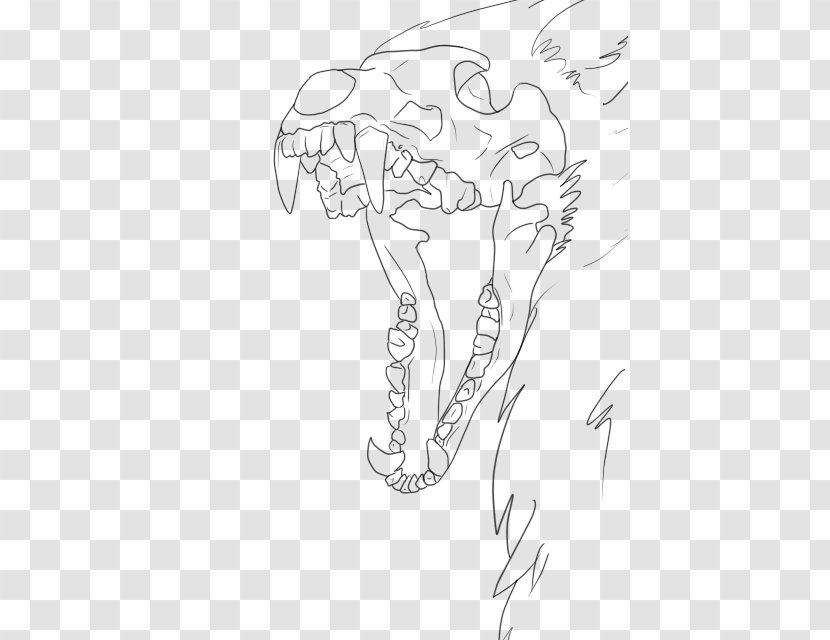 Carnivora Drawing Line Art Skull Sketch - Wildlife - Angry Wolf Face Transparent PNG