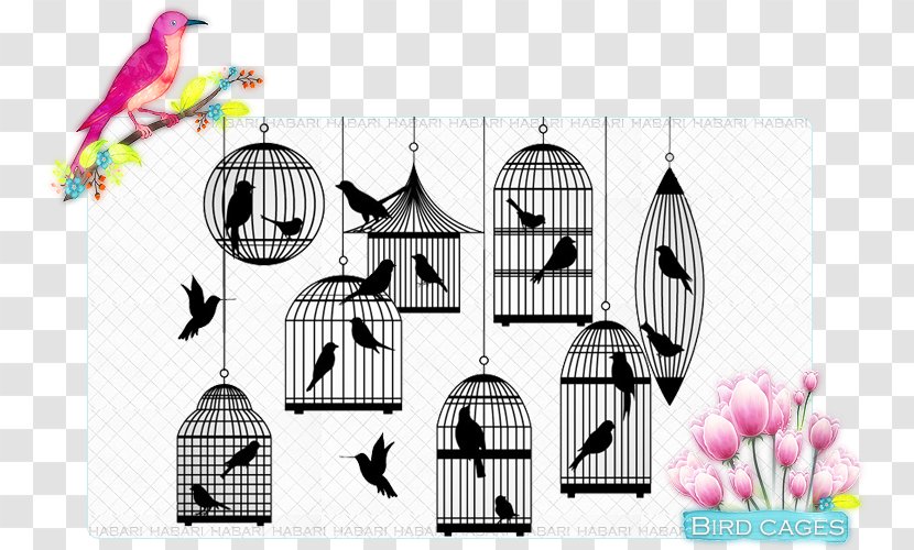 Birdcage Silhouette - Brand - Bird Transparent PNG