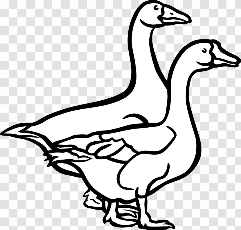 Goose Duck Bird Black And White Clip Art - Water - Vector Painted Transparent PNG