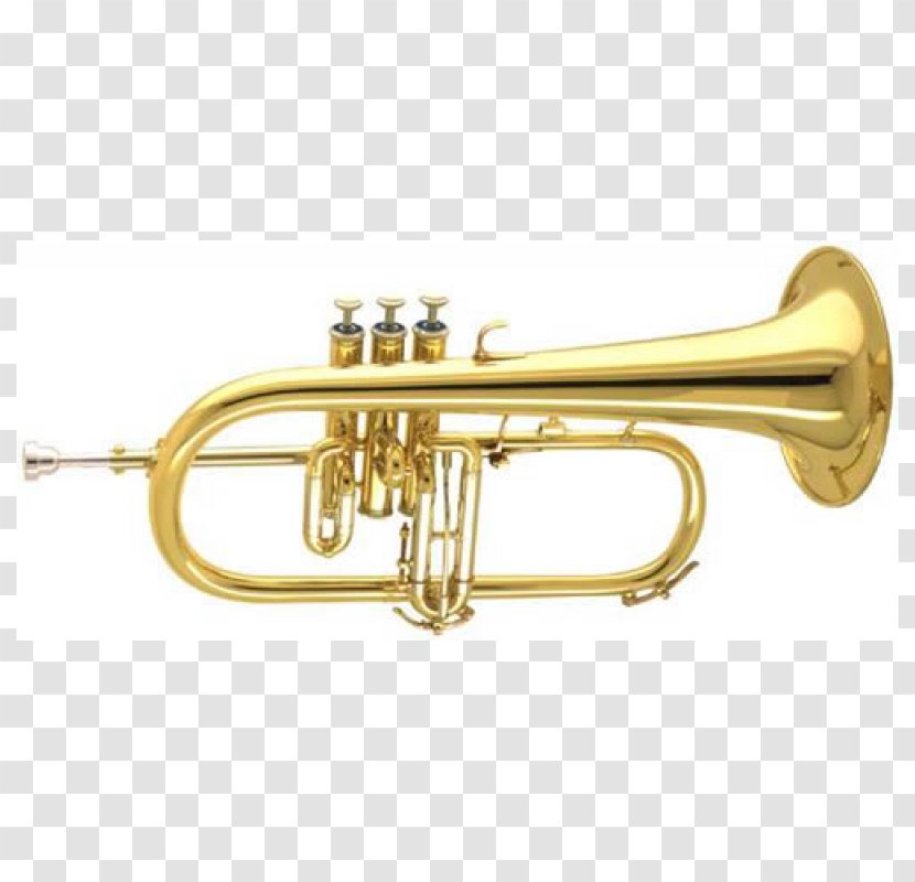 Cornet Flugelhorn Bugle Trumpet Mellophone - Tree Transparent PNG