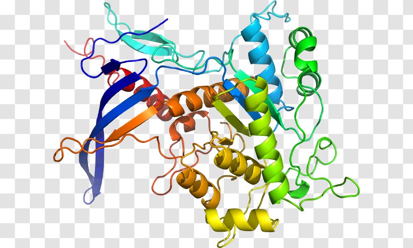 Protein Disulfide-isomerase Bond Deusylffid Line Clip Art - Organism Transparent PNG