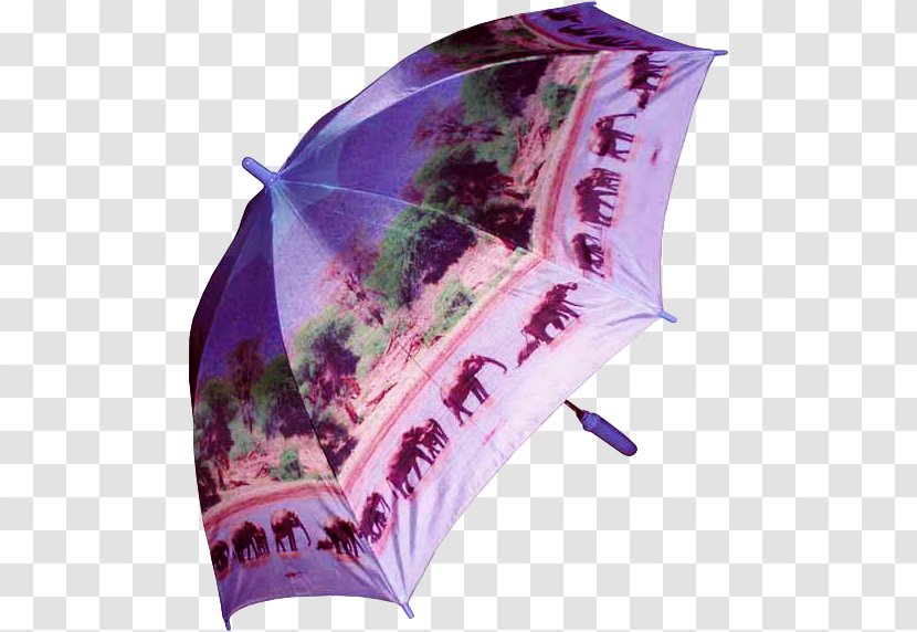 Umbrella Clip Art - Violet Transparent PNG