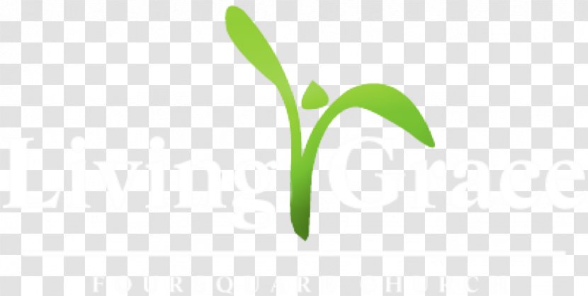 Leaf Logo Brand Grasses Transparent PNG