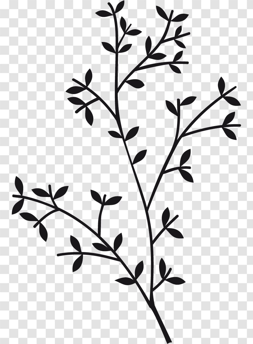 Twig Plant Stem Leaf Flower Clip Art - Rama Shinta Transparent PNG