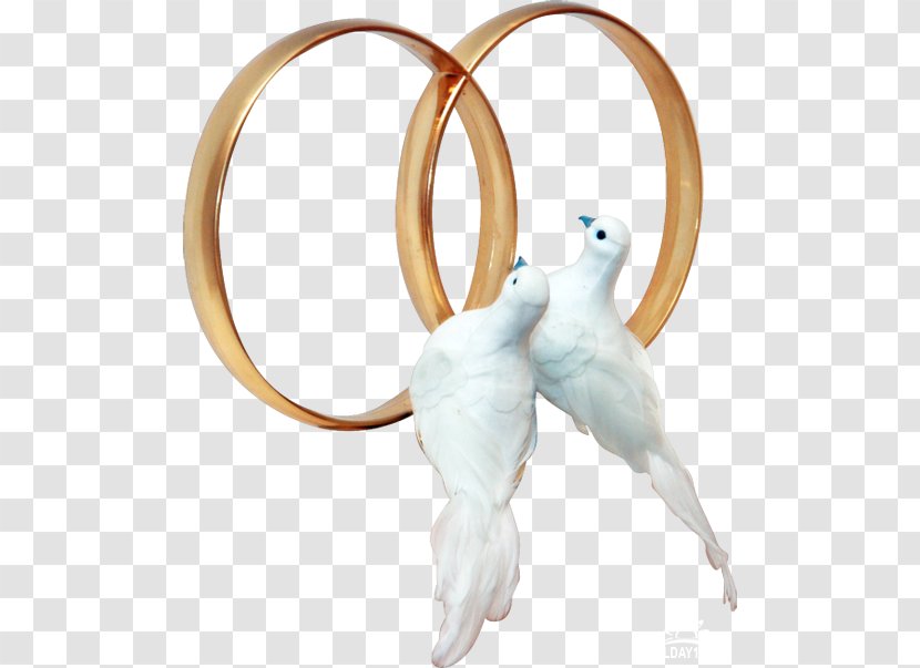 Pigeons And Doves Clip Art Wedding Ring Transparent PNG