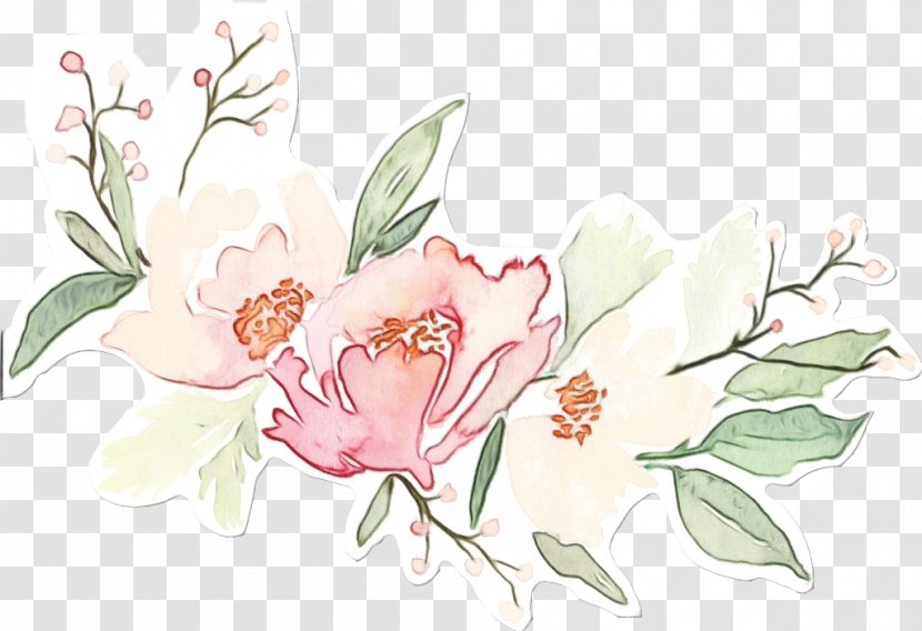 Watercolor Pink Flowers - Paint - Rose Family Transparent PNG
