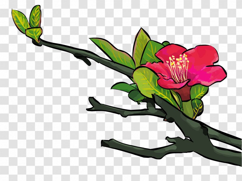 Floral Design Rhododendron Flower Petal Stamen - Perianth - Azalea Business Transparent PNG