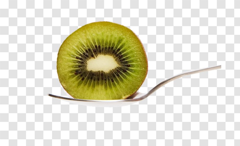 Kiwifruit Auglis - Designer - The Kiwi On Spoon Transparent PNG