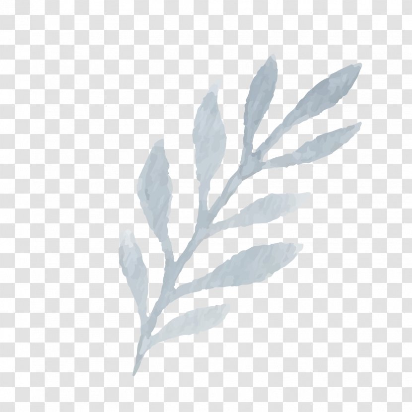 Twig Leaf Plant Stem - Laurel Pattern Transparent PNG