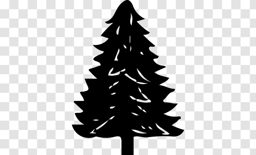 Christmas Tree Spruce Abies Koreana Pine Concolor - Ornament Transparent PNG
