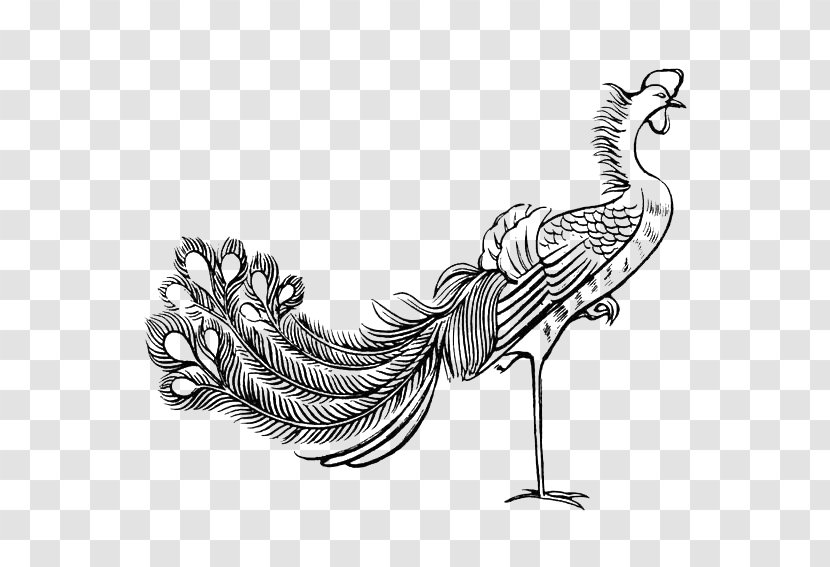 Fenghuang Stroke Bird Budaya Tionghoa Chinese Mythology - Beak - Black And White Lines Painted Peacock Transparent PNG
