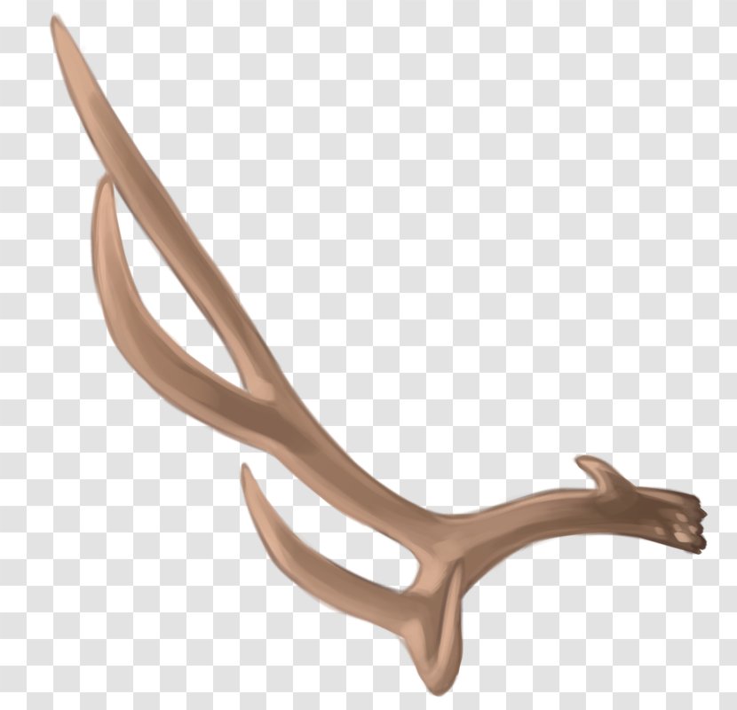 Deer Antler Material - Horn Transparent PNG