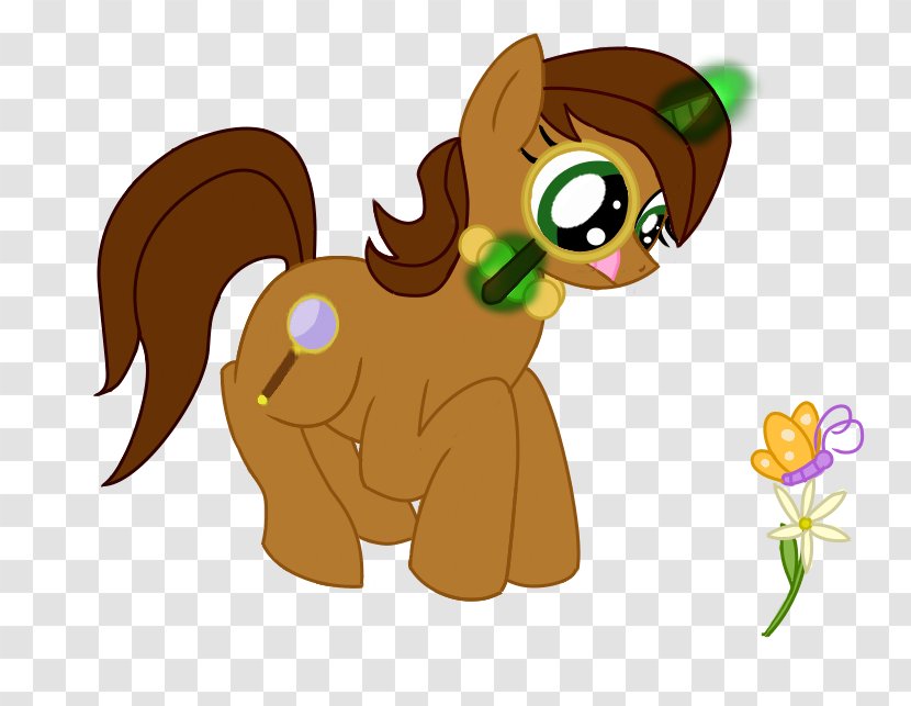 Pony Horse Cat Canidae - Organism Transparent PNG