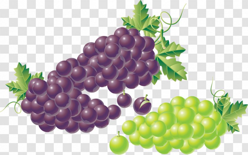 Grape Kyoho Zante Currant Fruit Transparent PNG