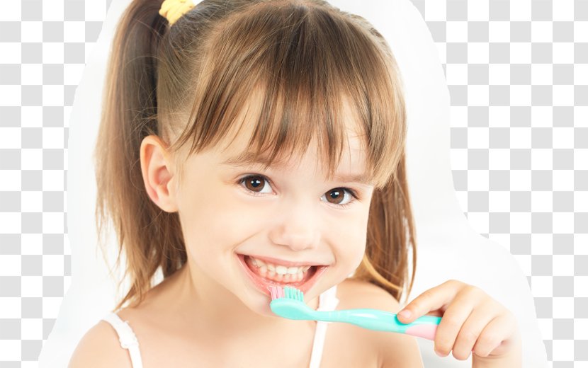 Tooth Brushing Dentistry Human - Frame - Dental Smile Transparent PNG
