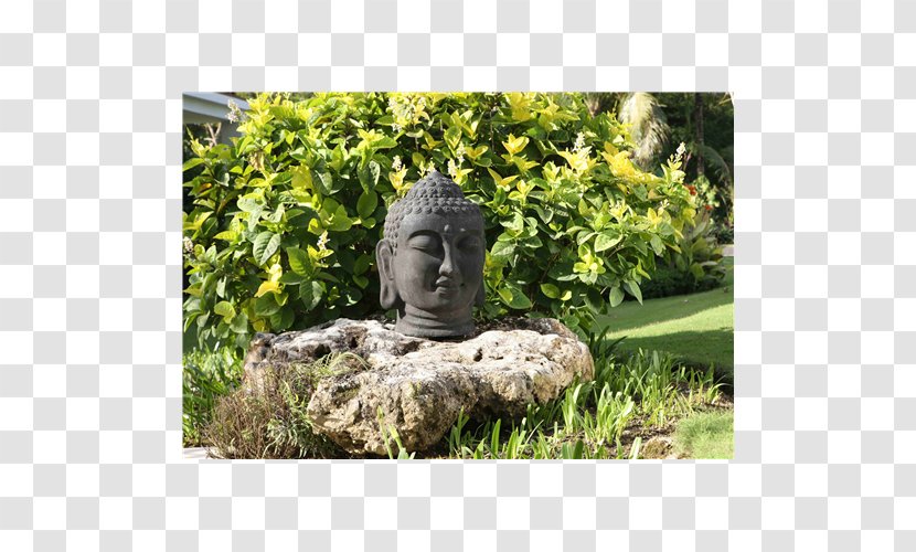 Statue Landscape Tree Shrub Meter - Grass Transparent PNG