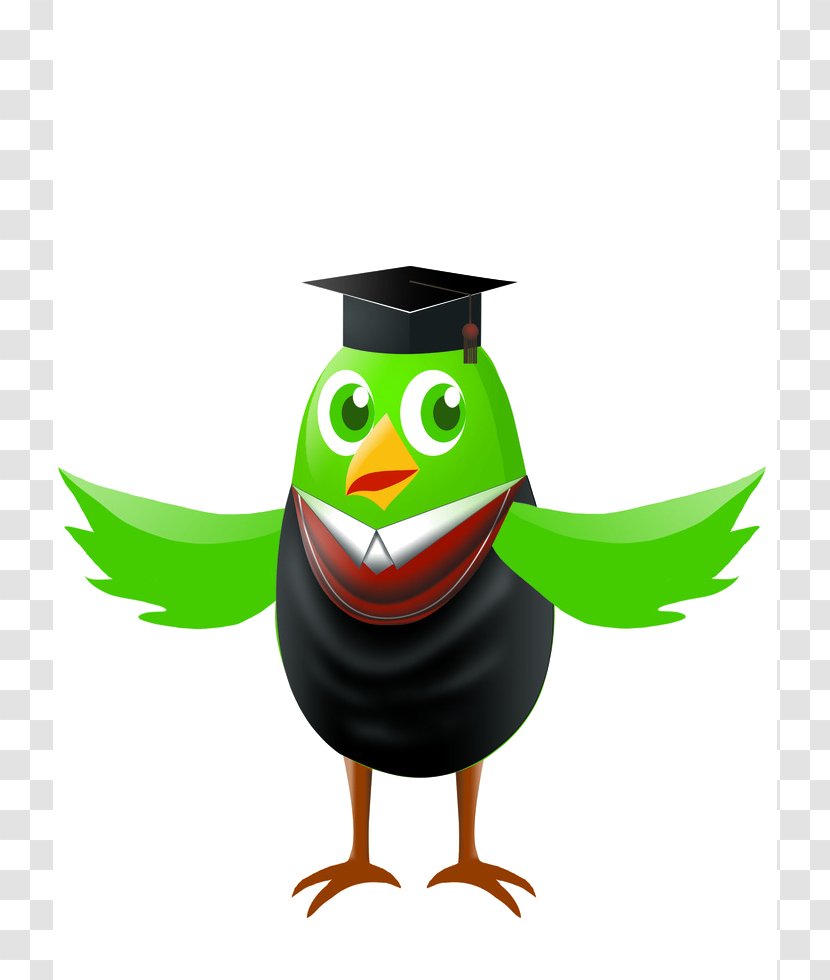 Little Owl Hat - Green Transparent PNG